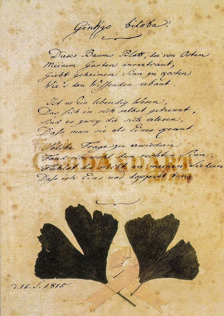 J.W. Goethe - Gedicht - Ginkgo biloba -  Postkarte