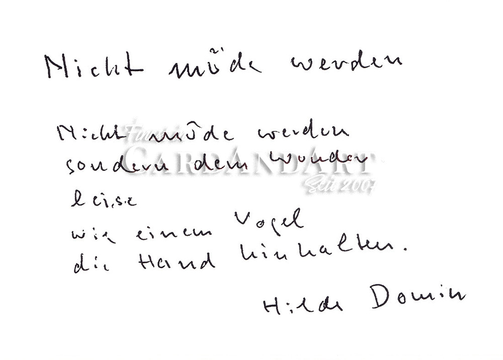 Hilde Domin - Nicht müde werden - Postkarte