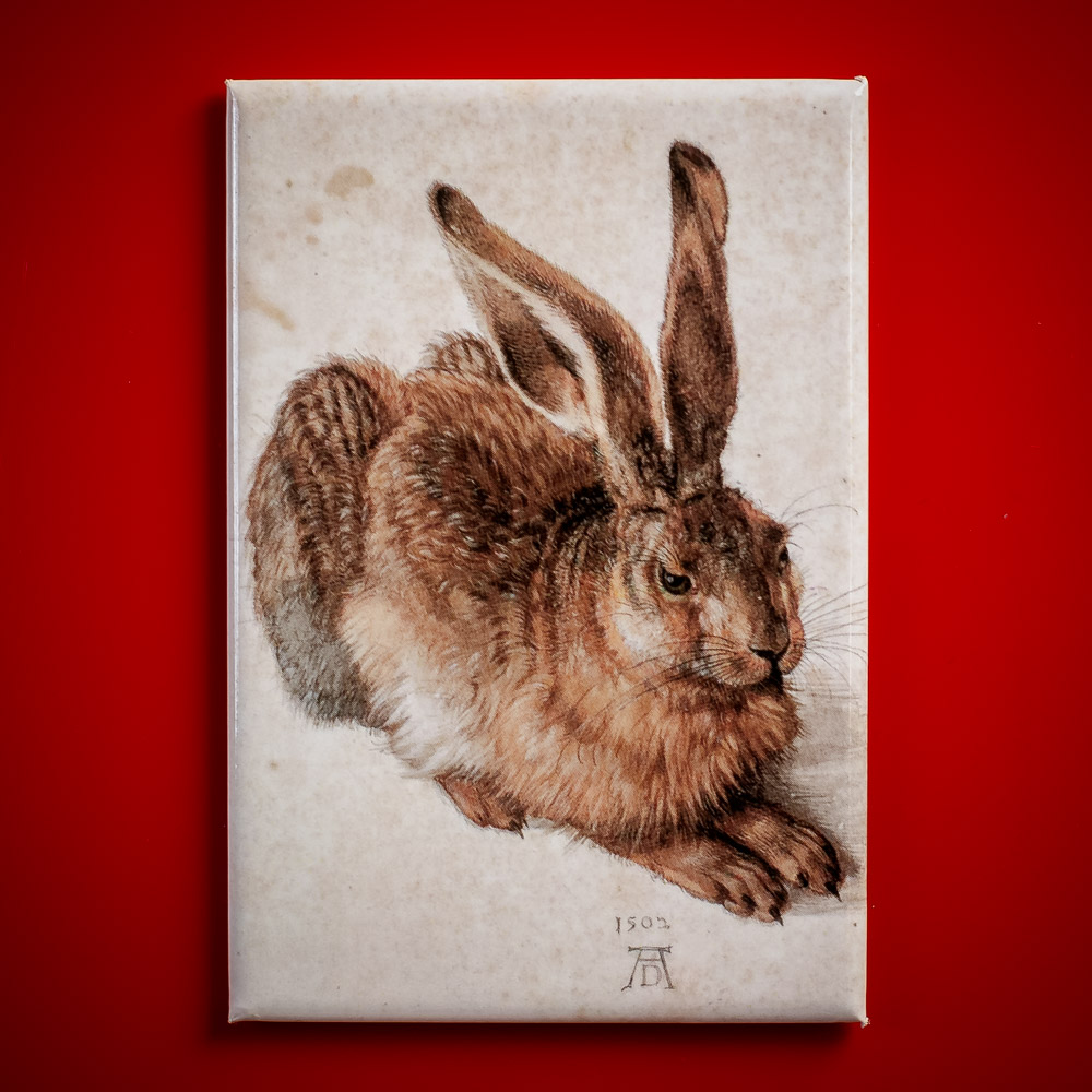 Dürer Albrecht - Junger Feldhase - Magnet