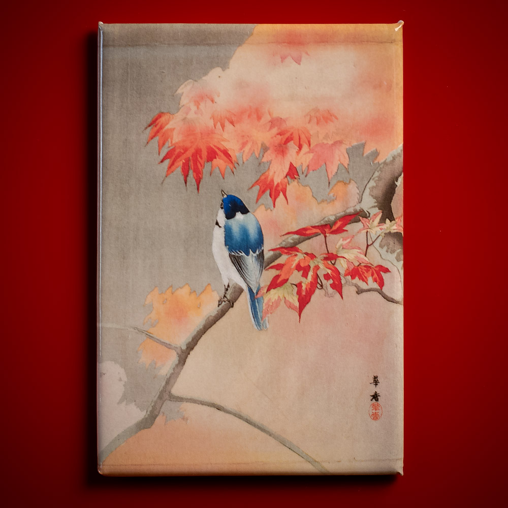 Kako - Blaumeise auf herbstlichem Zweig - Magnet