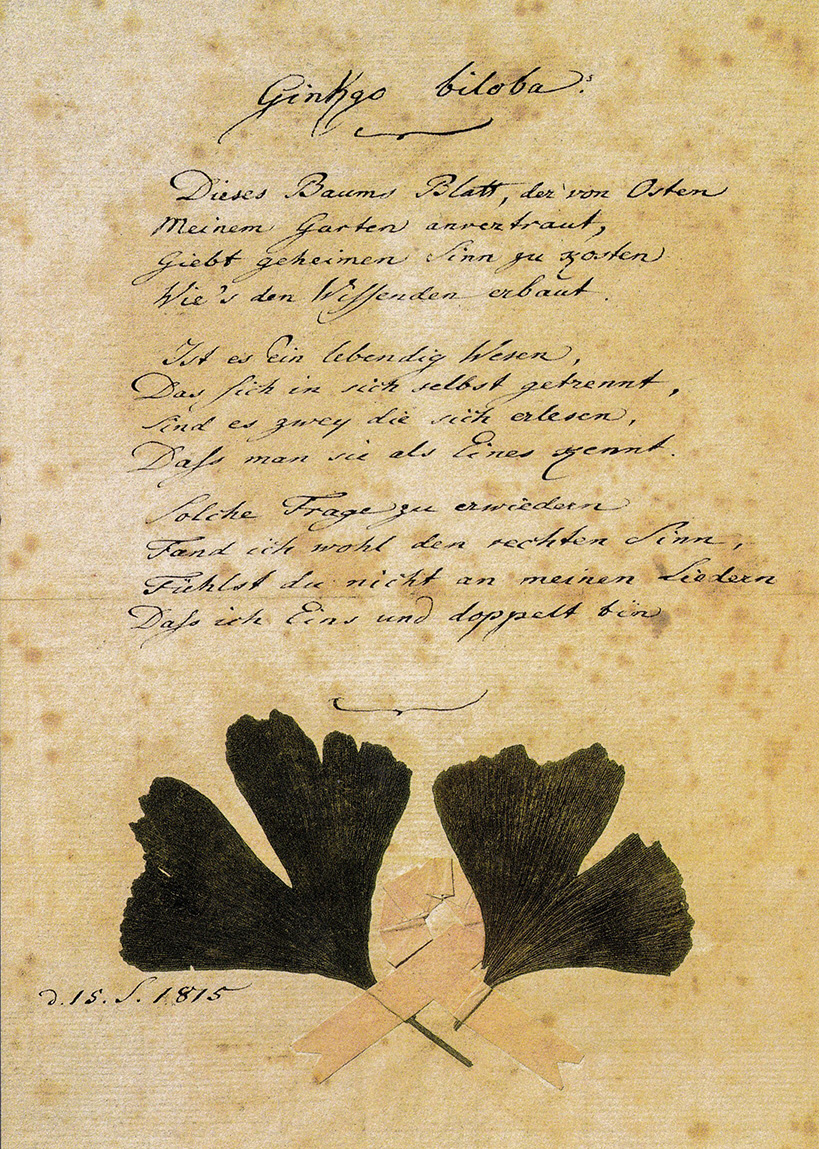 J.W. Goethe - Gedicht - Ginkgo biloba -  Postkarte