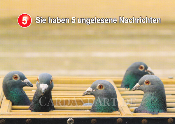 Sie haben 5 ungelesene Nachrichten - Postkarte