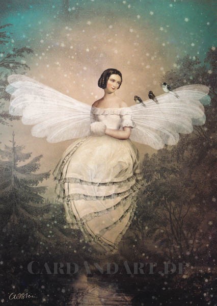 Catrin Welz-Stein, Die Schneemotte - Klappkarte